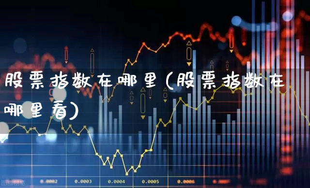 股票指数在哪里(股票指数在哪里看)_https://www.gfdzclz.com_北交所_第1张