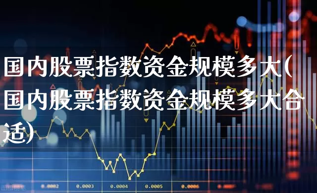 国内股票指数资金规模多大(国内股票指数资金规模多大合适)_https://www.gfdzclz.com_创业板_第1张