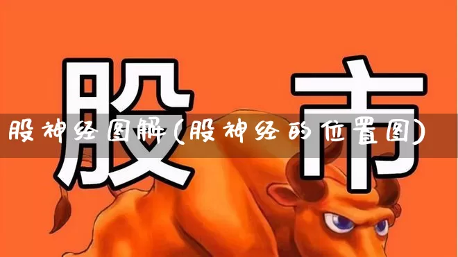 股神经图解(股神经的位置图)_https://www.gfdzclz.com_科创板_第1张