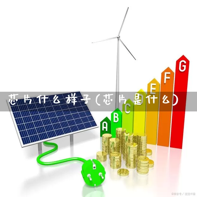 芯片什么样子(芯片是什么)_https://www.gfdzclz.com_科创板_第1张