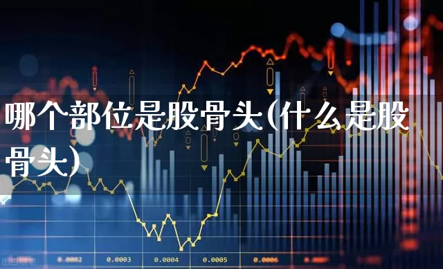 哪个部位是股骨头(什么是股骨头)_https://www.gfdzclz.com_创业板_第1张
