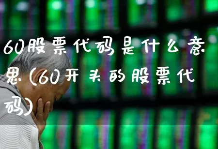60股票代码是什么意思(60开头的股票代码)_https://www.gfdzclz.com_创业板_第1张