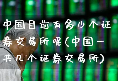 中国目前有多少个证券交易所呢(中国一共几个证券交易所)_https://www.gfdzclz.com_创业板_第1张