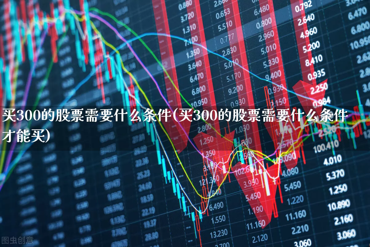 买300的股票需要什么条件(买300的股票需要什么条件才能买)_https://www.gfdzclz.com_北交所_第1张