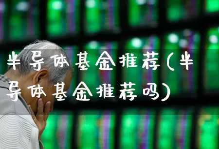 半导体基金推荐(半导体基金推荐吗)_https://www.gfdzclz.com_创业板_第1张