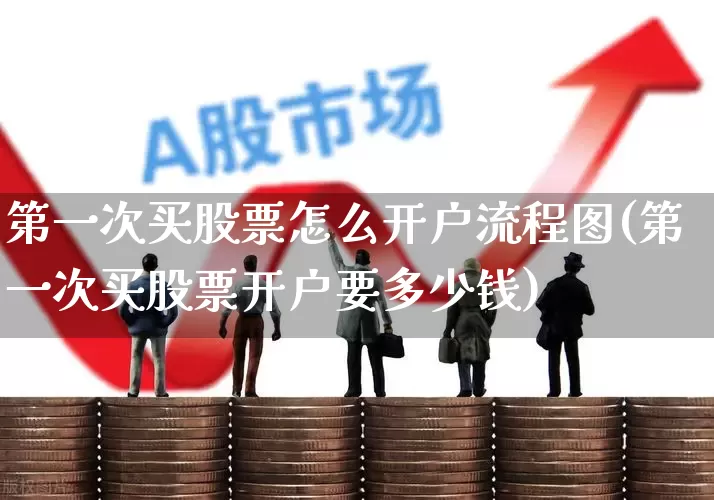 第一次买股票怎么开户流程图(第一次买股票开户要多少钱)_https://www.gfdzclz.com_创业板_第1张
