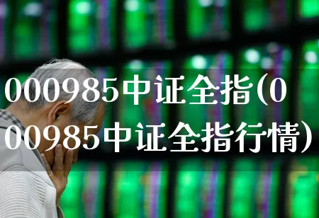 000985中证全指(000985中证全指行情)_https://www.gfdzclz.com_科创板_第1张