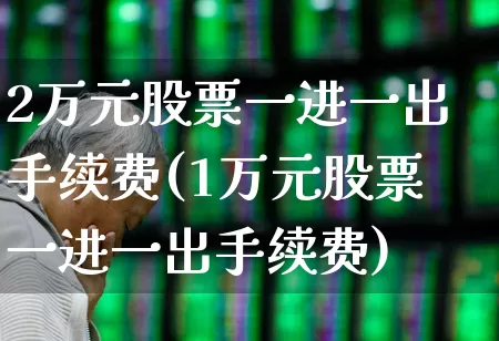 2万元股票一进一出手续费(1万元股票一进一出手续费)_https://www.gfdzclz.com_创业板_第1张