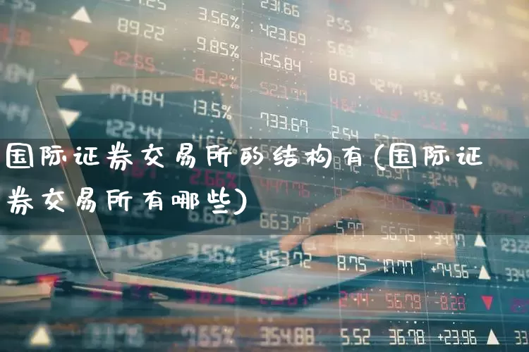 国际证券交易所的结构有(国际证券交易所有哪些)_https://www.gfdzclz.com_科创板_第1张