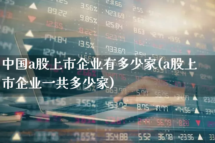 中国a股上市企业有多少家(a股上市企业一共多少家)_https://www.gfdzclz.com_北交所_第1张
