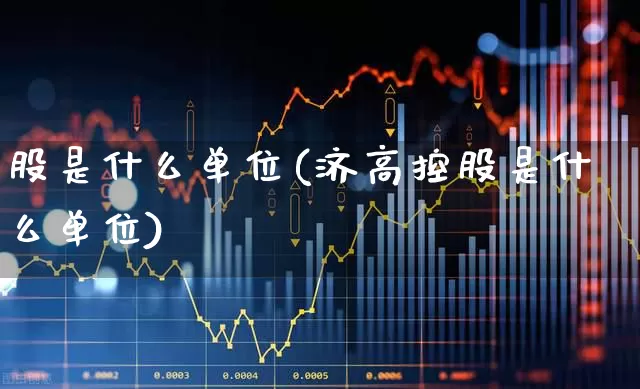 股是什么单位(济高控股是什么单位)_https://www.gfdzclz.com_深交所_第1张