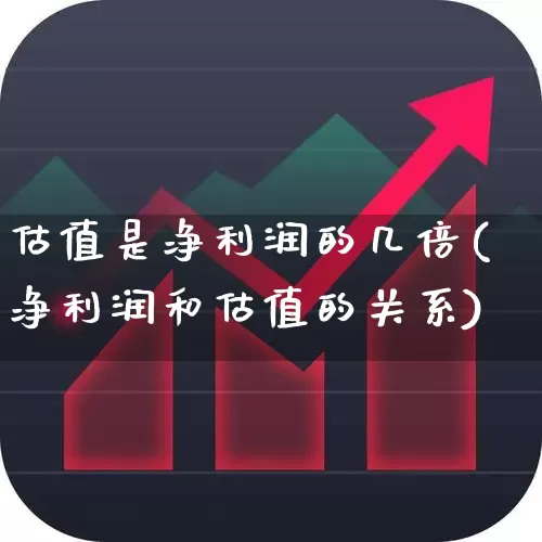 估值是净利润的几倍(净利润和估值的关系)_https://www.gfdzclz.com_北交所_第1张