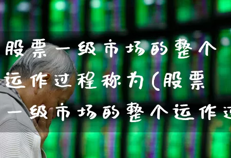 股票一级市场的整个运作过程称为(股票一级市场的整个运作过程称为什么)_https://www.gfdzclz.com_深交所_第1张