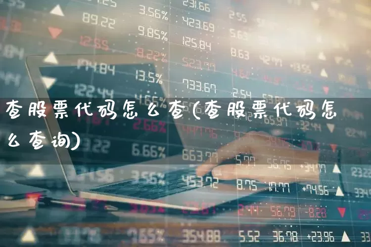 查股票代码怎么查(查股票代码怎么查询)_https://www.gfdzclz.com_深交所_第1张
