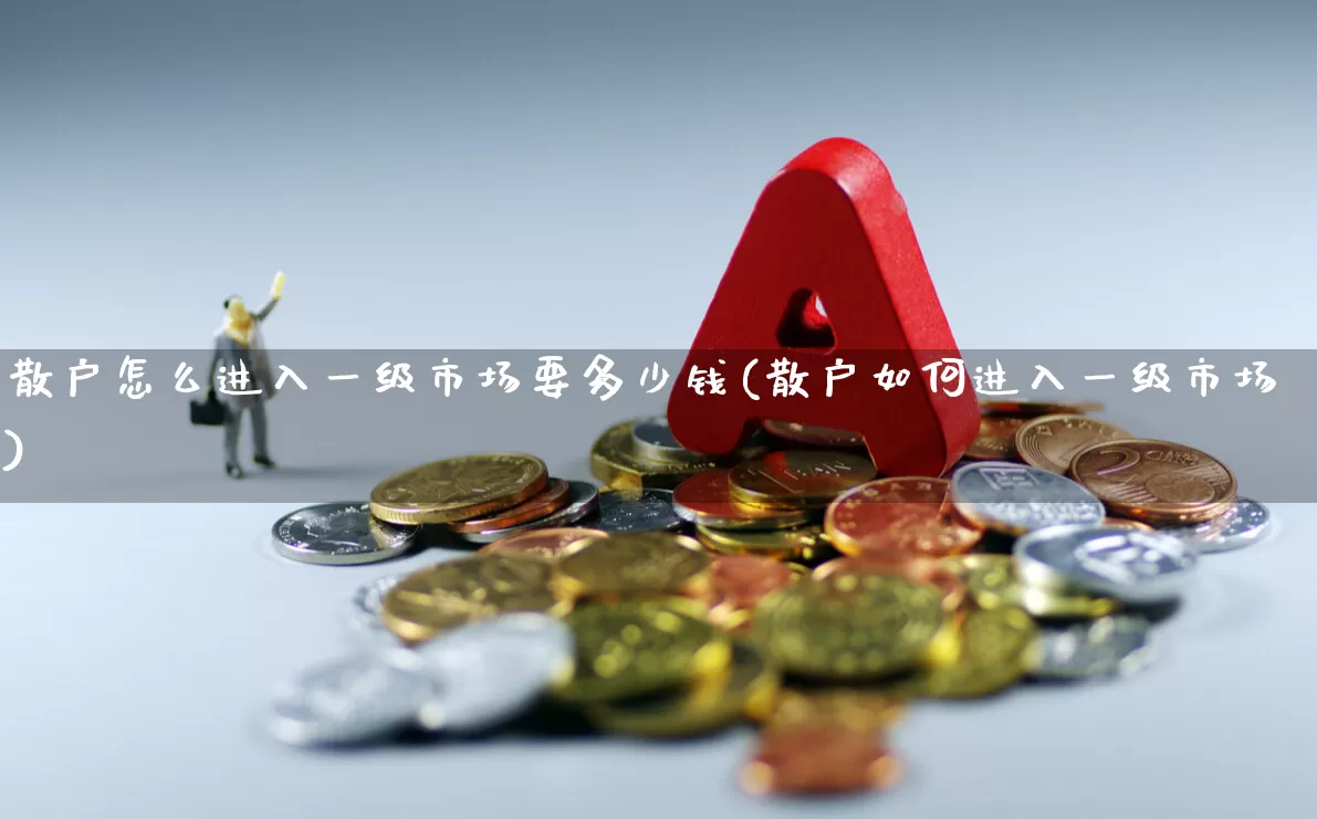 散户怎么进入一级市场要多少钱(散户如何进入一级市场)_https://www.gfdzclz.com_科创板_第1张