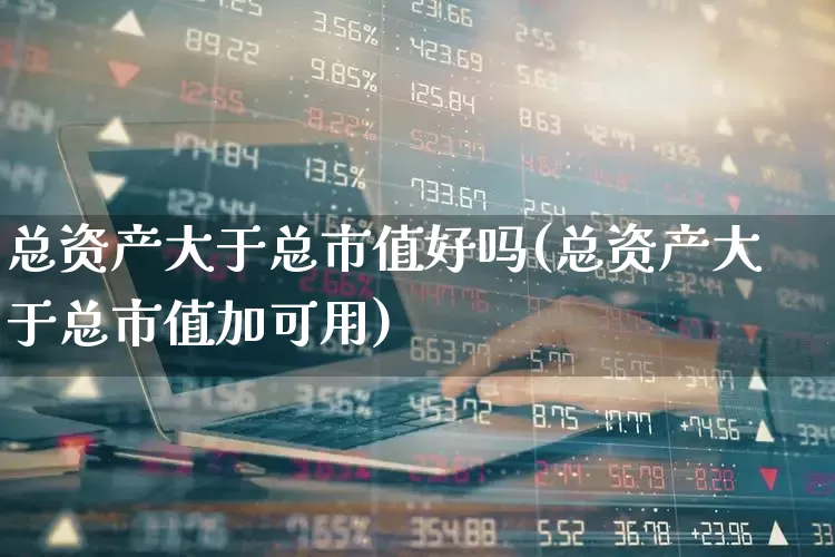 总资产大于总市值好吗(总资产大于总市值加可用)_https://www.gfdzclz.com_科创板_第1张