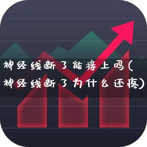 神经线断了能接上吗(神经线断了为什么还疼)_https://www.gfdzclz.com_上交所_第1张