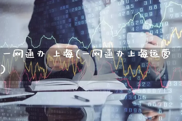 一网通办 上海(一网通办上海运营)_https://www.gfdzclz.com_深交所_第1张