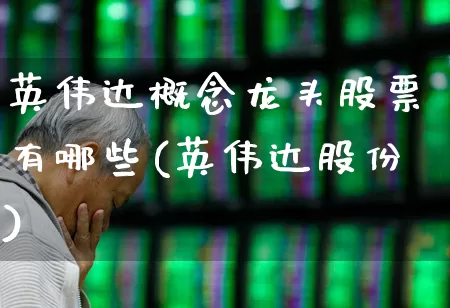 英伟达概念龙头股票有哪些(英伟达股份)_https://www.gfdzclz.com_科创板_第1张
