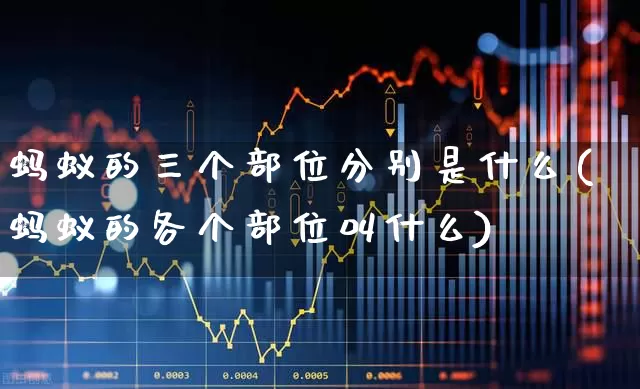 蚂蚁的三个部位分别是什么(蚂蚁的各个部位叫什么)_https://www.gfdzclz.com_科创板_第1张
