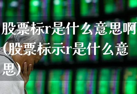 股票标r是什么意思啊(股票标示r是什么意思)_https://www.gfdzclz.com_上交所_第1张