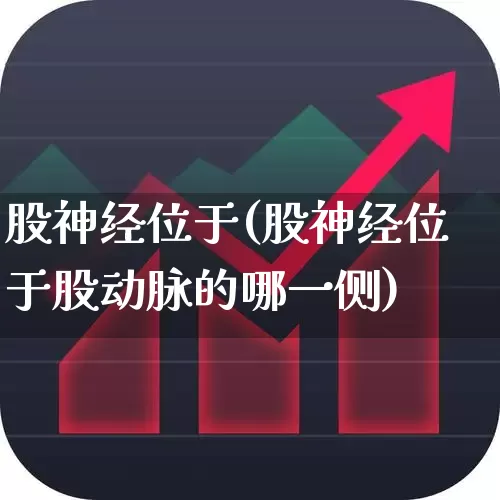 股神经位于(股神经位于股动脉的哪一侧)_https://www.gfdzclz.com_上交所_第1张