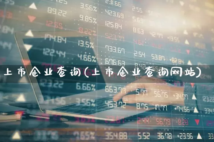 上市企业查询(上市企业查询网站)_https://www.gfdzclz.com_深交所_第1张