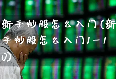 新手炒股怎么入门(新手炒股怎么入门1一10)_https://www.gfdzclz.com_创业板_第1张