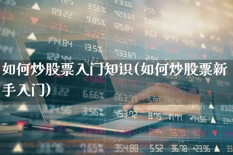 如何炒股票入门知识(如何炒股票新手入门)_https://www.gfdzclz.com_科创板_第1张