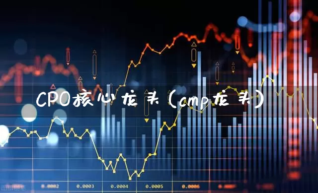 CPO核心龙头(cmp龙头)_https://www.gfdzclz.com_创业板_第1张