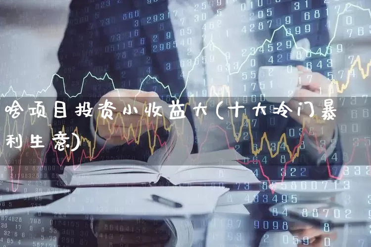 啥项目投资小收益大(十大冷门暴利生意)_https://www.gfdzclz.com_科创板_第1张