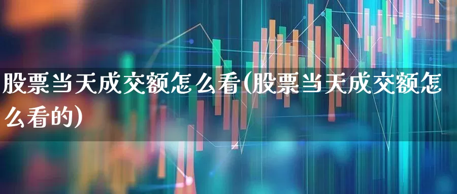 股票当天成交额怎么看(股票当天成交额怎么看的)_https://www.gfdzclz.com_科创板_第1张