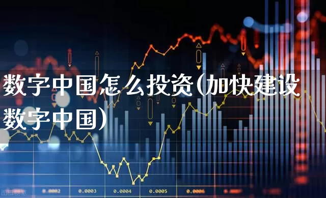 数字中国怎么投资(加快建设数字中国)_https://www.gfdzclz.com_创业板_第1张