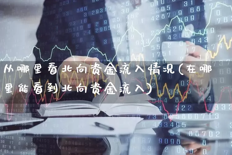 从哪里看北向资金流入情况(在哪里能看到北向资金流入)_https://www.gfdzclz.com_科创板_第1张
