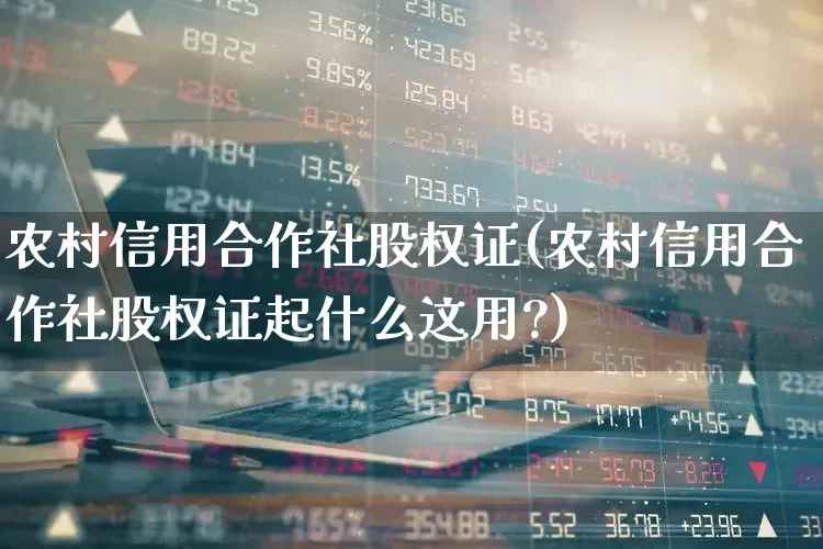 农村信用合作社股权证(农村信用合作社股权证起什么这用?)_https://www.gfdzclz.com_北交所_第1张