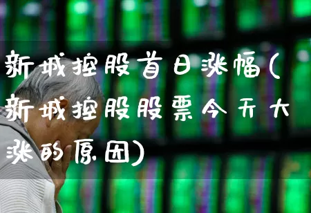 新城控股首日涨幅(新城控股股票今天大涨的原因)_https://www.gfdzclz.com_北交所_第1张