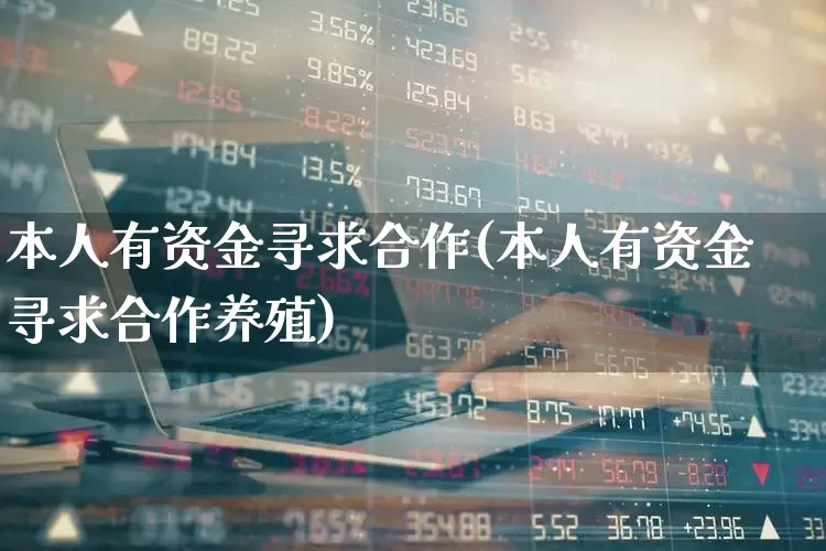 本人有资金寻求合作(本人有资金寻求合作养殖)_https://www.gfdzclz.com_北交所_第1张