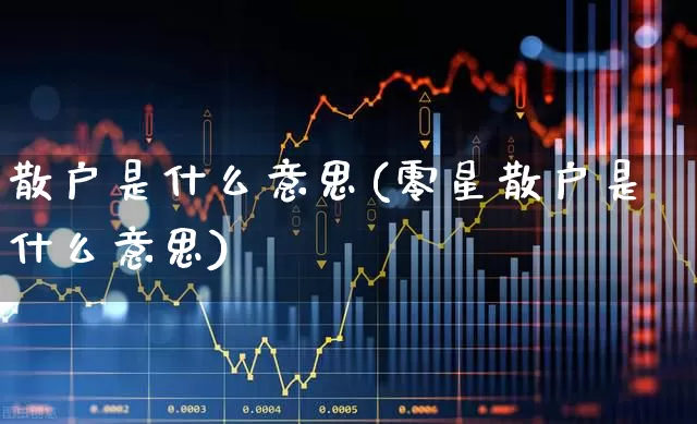 散户是什么意思(零星散户是什么意思)_https://www.gfdzclz.com_深交所_第1张