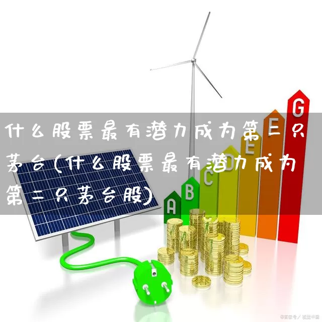 什么股票最有潜力成为第二只茅台(什么股票最有潜力成为第二只茅台股)_https://www.gfdzclz.com_上交所_第1张