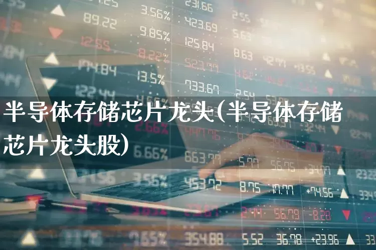 半导体存储芯片龙头(半导体存储芯片龙头股)_https://www.gfdzclz.com_上交所_第1张
