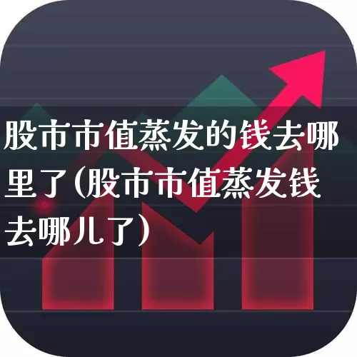 股市市值蒸发的钱去哪里了(股市市值蒸发钱去哪儿了)_https://www.gfdzclz.com_北交所_第1张