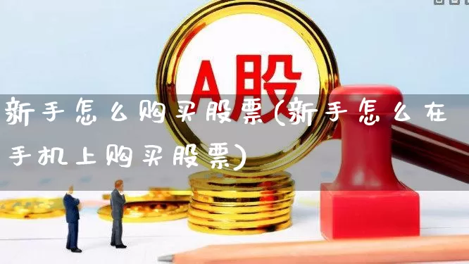 新手怎么购买股票(新手怎么在手机上购买股票)_https://www.gfdzclz.com_上交所_第1张