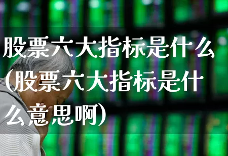 股票六大指标是什么(股票六大指标是什么意思啊)_https://www.gfdzclz.com_上交所_第1张