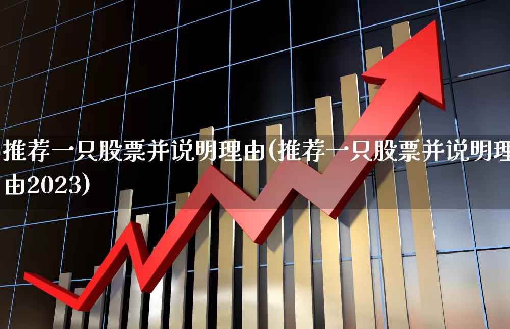 推荐一只股票并说明理由(推荐一只股票并说明理由2023)_https://www.gfdzclz.com_上交所_第1张