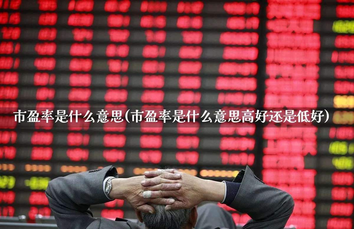 市盈率是什么意思(市盈率是什么意思高好还是低好)_https://www.gfdzclz.com_上交所_第1张
