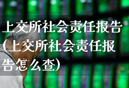 上交所社会责任报告(上交所社会责任报告怎么查)_https://www.gfdzclz.com_科创板_第1张