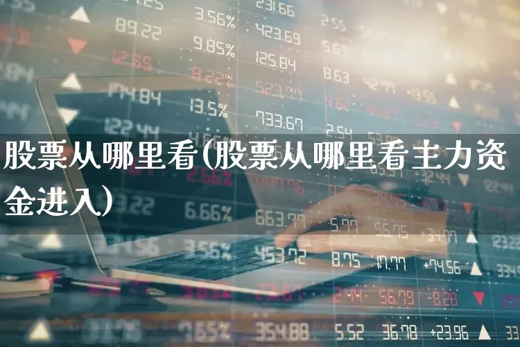 股票从哪里看(股票从哪里看主力资金进入)_https://www.gfdzclz.com_深交所_第1张