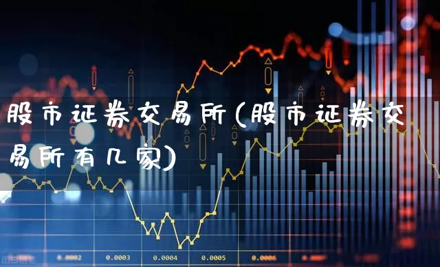 股市证券交易所(股市证券交易所有几家)_https://www.gfdzclz.com_上交所_第1张