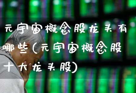 元宇宙概念股龙头有哪些(元宇宙概念股十大龙头股)_https://www.gfdzclz.com_上交所_第1张