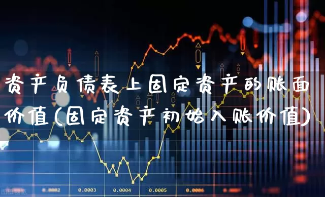 资产负债表上固定资产的账面价值(固定资产初始入账价值)_https://www.gfdzclz.com_上交所_第1张